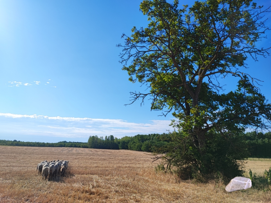 ...az életfeladatod az hogy találj vissza Önmagad forrásához...✨🫂🙏🏼
